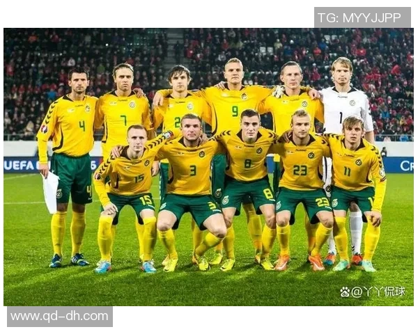 立陶宛足球明星的崛起与成就探讨