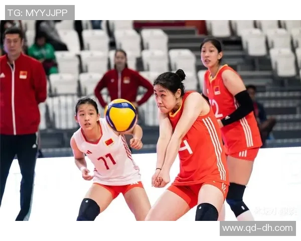 聚焦排球：探讨成都排球队员个人能力提升与团队协作的关系